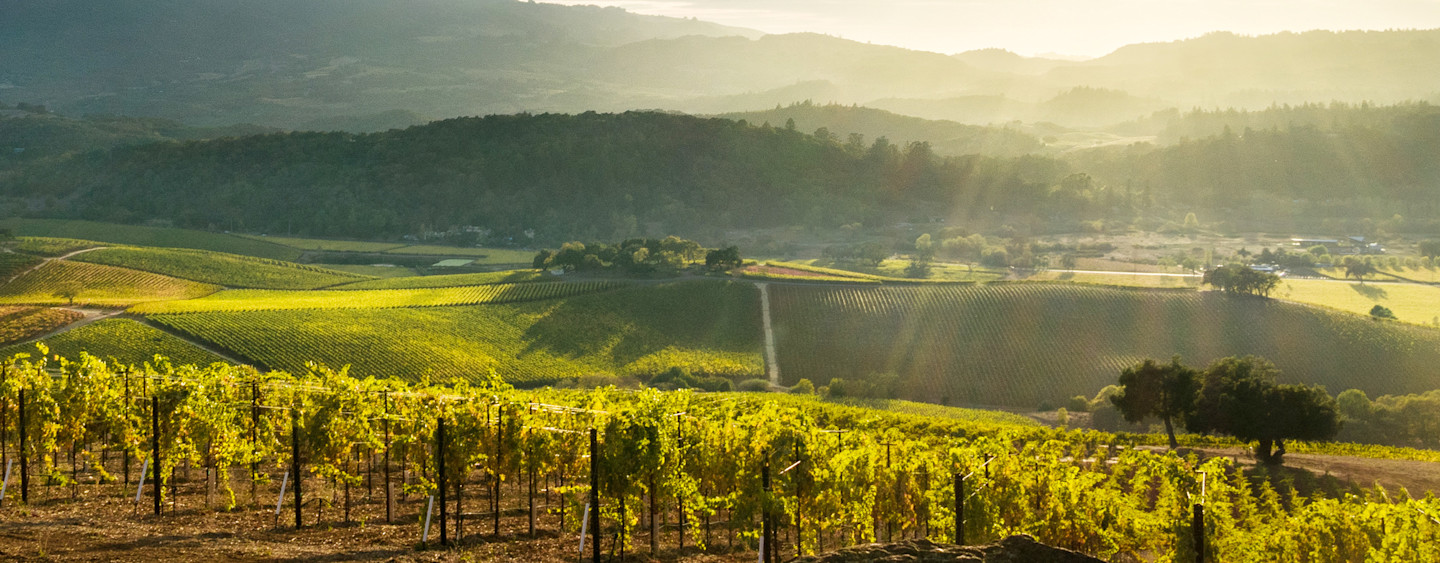 Mumm Napa Brut Prestige