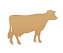 Meat