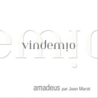 Domaine Vindemio Amadeus 2007 Front Label
