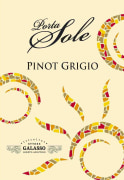 Cantine Galasso S.r.l. Terre degli Osci Porta Sole Pinot Grigio 2008 Front Label