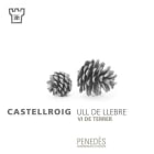 Castellroig Ull de Llebre Vi de Terrer 2011 Front Label