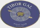Gal Tibor Pinceszet Pinot Noir 2012 Front Label