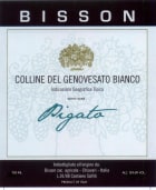 Bisson Colline del Genovesato Pigato 2013 Front Label