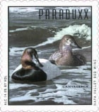 Paraduxx Canvasback 2009  Front Label
