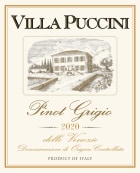 Villa Puccini Pinot Grigio 2020  Front Label