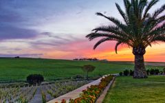 Bodegas Poniente Summertime sunset in Jeréz Winery Image