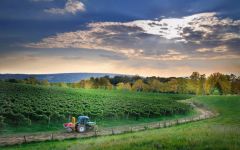 Borgoluce  Winery Image