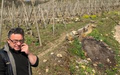 Domaine Jean-Michel Stephan Jean-Michel Stephan in the Vineyards Winery Image