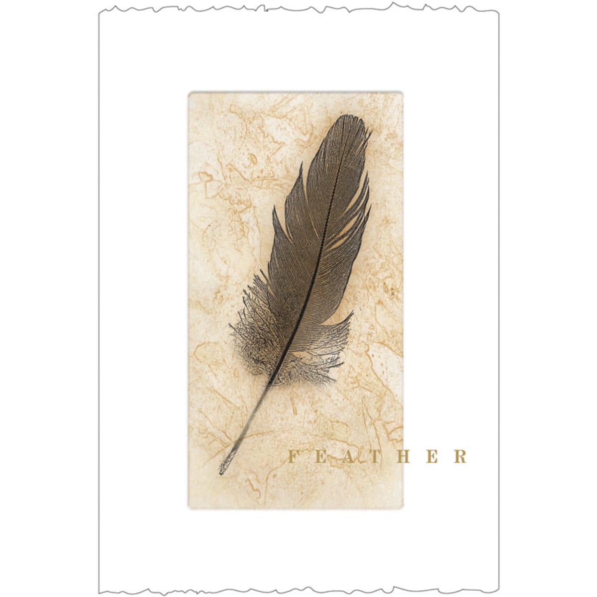 Feather Cabernet Sauvignon 2011 Front Label