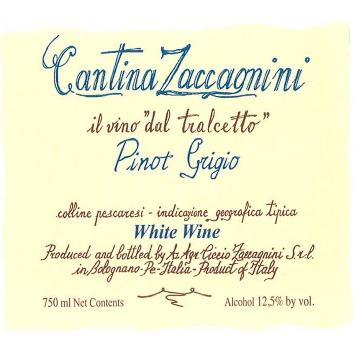 Zaccagnini Pinot Grigio 2013 Front Label