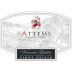 Attems Pinot Grigio 2009 Front Label
