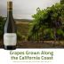 Meiomi Chardonnay (375ML half-bottle) 2017 Grapes grown along the California Coast Gift Product Image