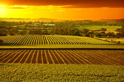 Image for Barossa Valley Barossa, Australia content section