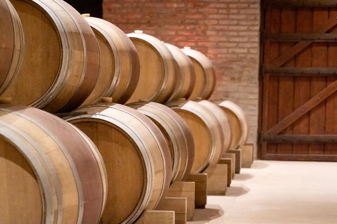 Aging Cabernet Sauvignon, Explained: Flavor, Cellaring, and What to Buy banner image