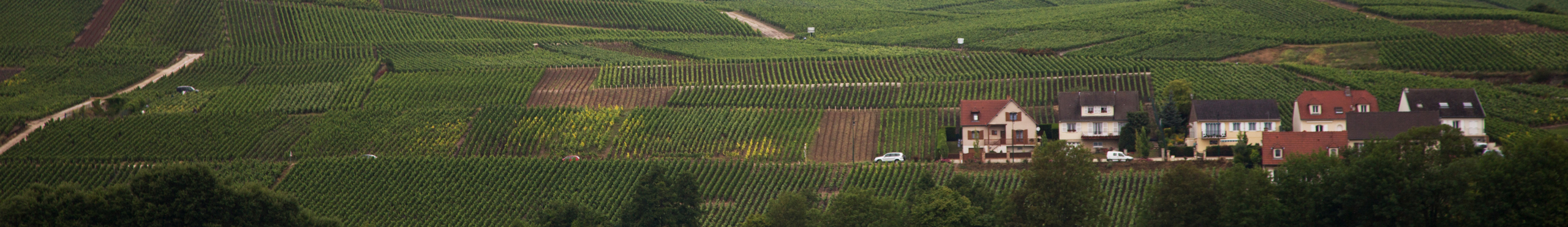 List Page Learn About Content Graphic