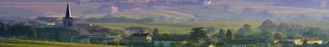 Image for St-Aubin Cote de Beaune, Burgundy content section