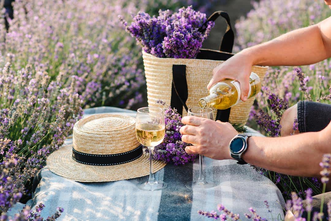 Dry Rosé Wine, Explained: Styles, Regions, and What to Buy banner image