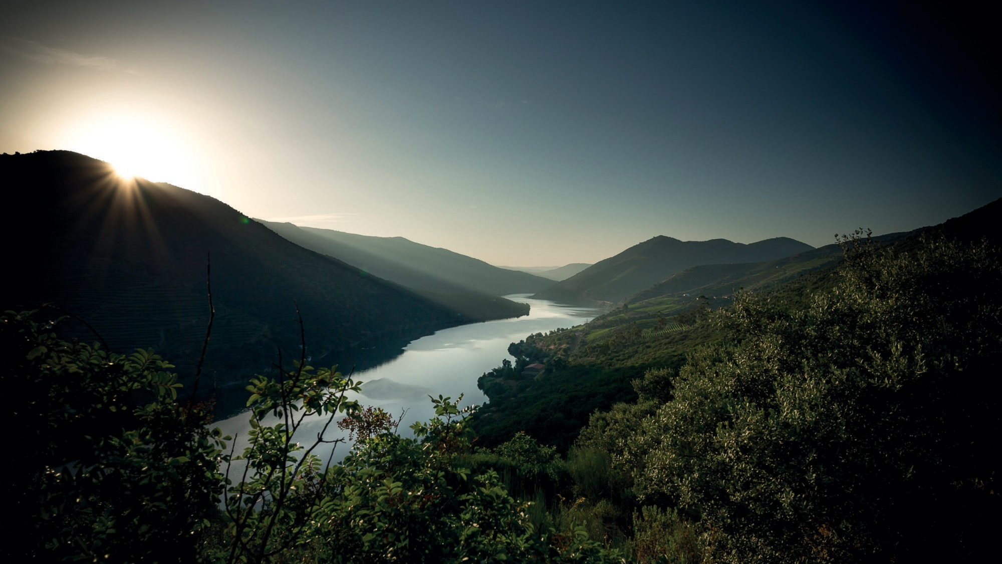 List Page Learn About Content Graphic