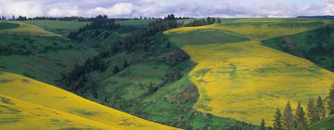 Image for Walla Walla Valley Columbia Valley, Washington content section