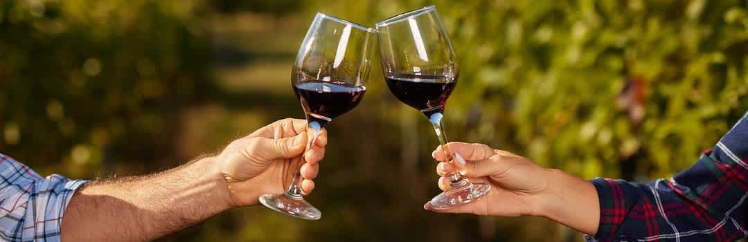 Smooth Red Wine, Explained: Styles, Bottles, and What to Pour First banner image
