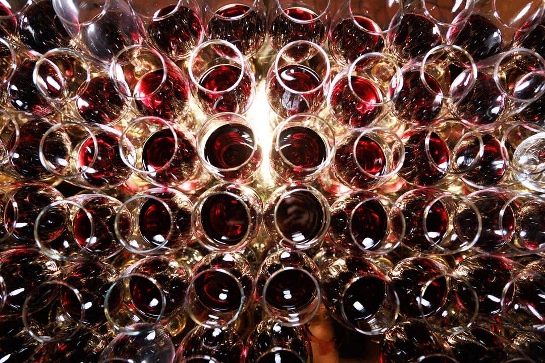 The Cabernet and Pinot Noir Guide for New Wine Drinkers banner image
