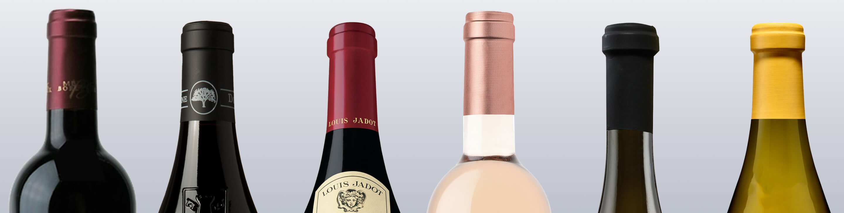 List Page Learn About Content Graphic