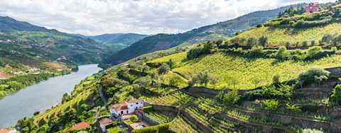 Image for Douro content section