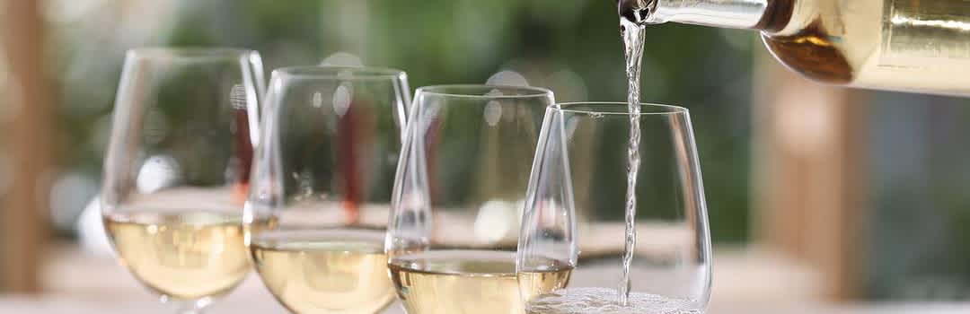 The Essential White Wine Guide for Beginners banner image