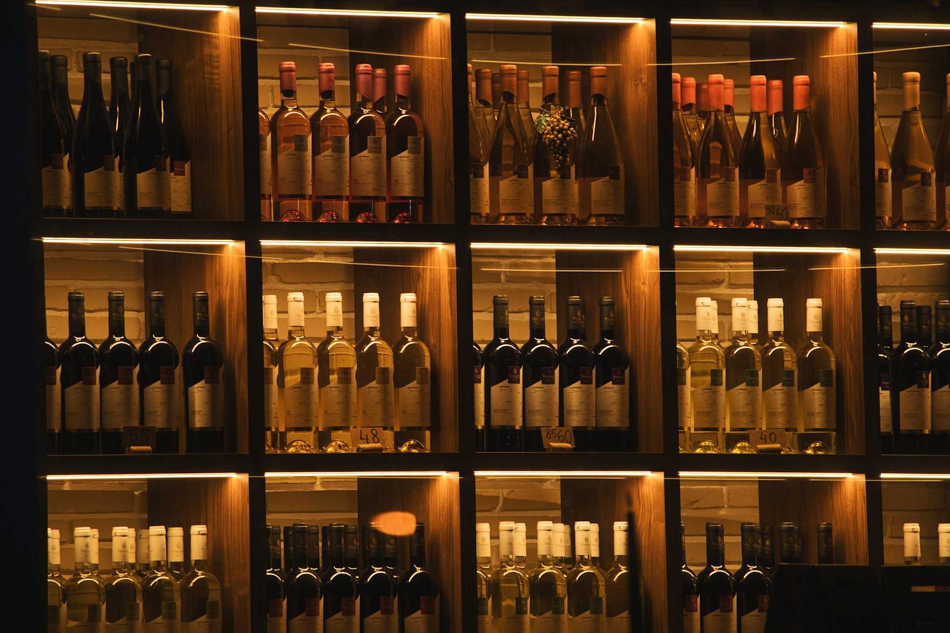 The 6 Collectible Red Wines to Add to Your Cellar banner image