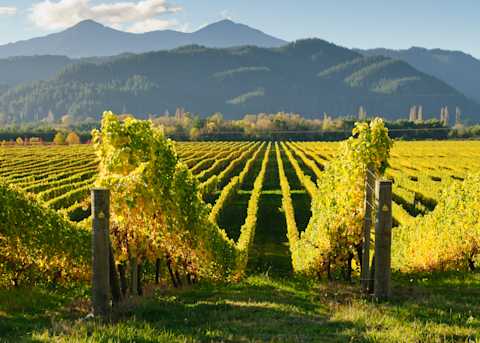 Image for Marlborough New Zealand content section