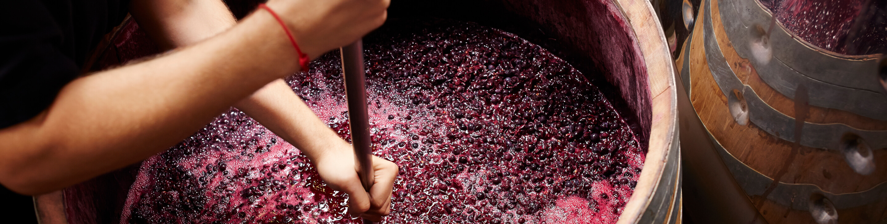 List Page Learn About Content Graphic