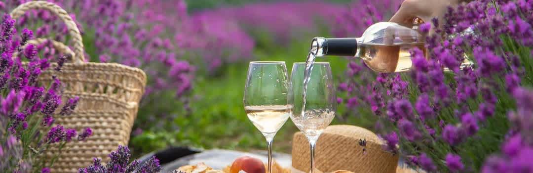 Provence Rosé, Explained: Terroir, Style, and What To Buy banner image