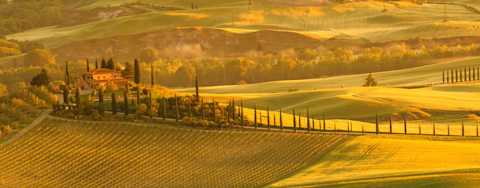 Image for Carmignano Tuscany, Italy content section