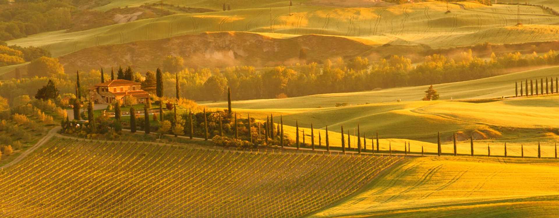 Image for Tuscan Wine Italy content section