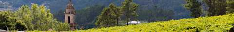 Image for Rias Baixas Spain content section