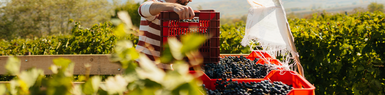 List Page Learn About Content Graphic