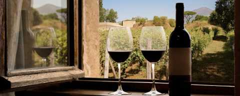 Discover Southern Italian Reds Shaped by Mediterranean sun and diverse soils.