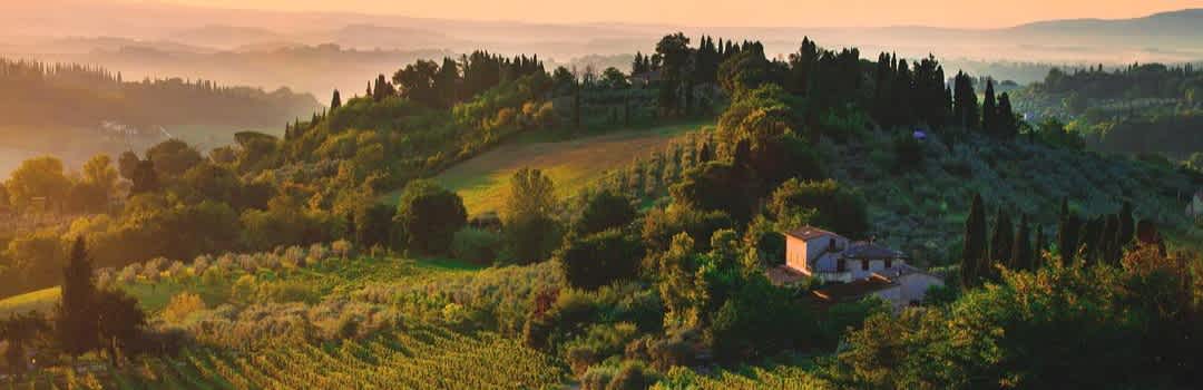 The Essential Italian Red Wine Guide: Regions, Grapes, and Where to Start banner image