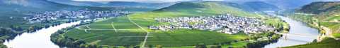Image for Mosel Germany content section