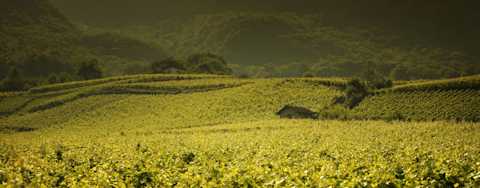 Image for Bandol Provence, France content section