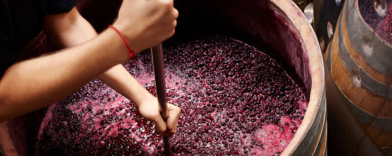 Small Production Wines Explore these hidden gems. 