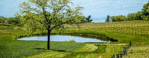 Image for Finger Lakes New York, U.S. content section