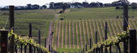 Image for Eden Valley Barossa, Australia content section