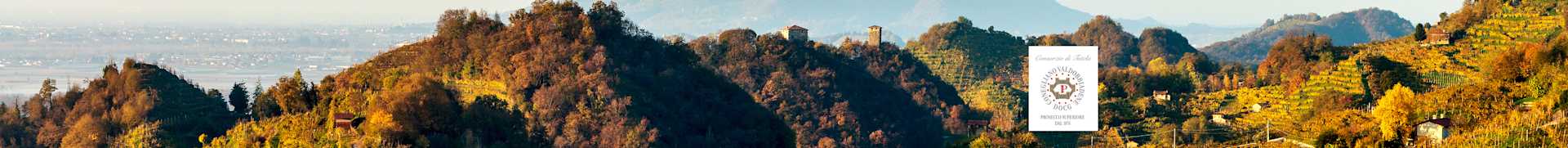 Image for Prosecco Superiore Conegliano Valdobbiadene DOCG content section