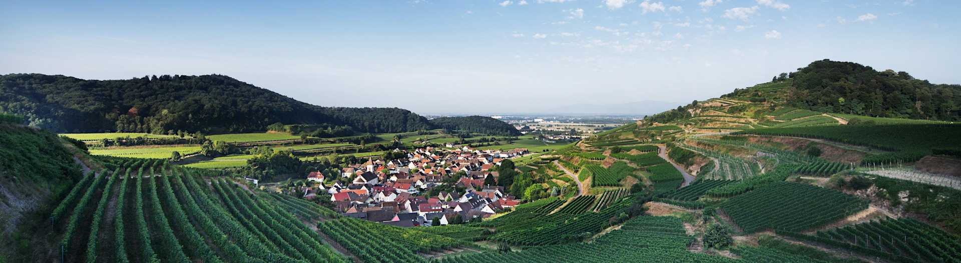 Top 5 reasons you should be drinking German Wine banner image