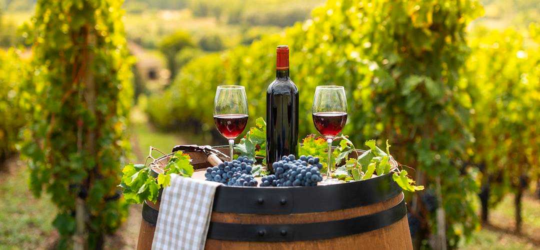 Affordable Burgundy Wine, Explained: Value Regions, Top Bottles, and What to Spend banner image