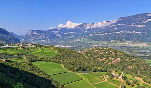 Image for Alto Adige Trentino-Alto Adige, Italy content section
