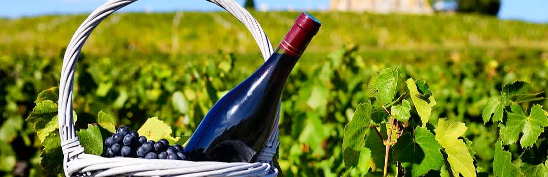 The Essential Rhône Value Guide: Regions, Bottles, and What to Pour Tonight banner image
