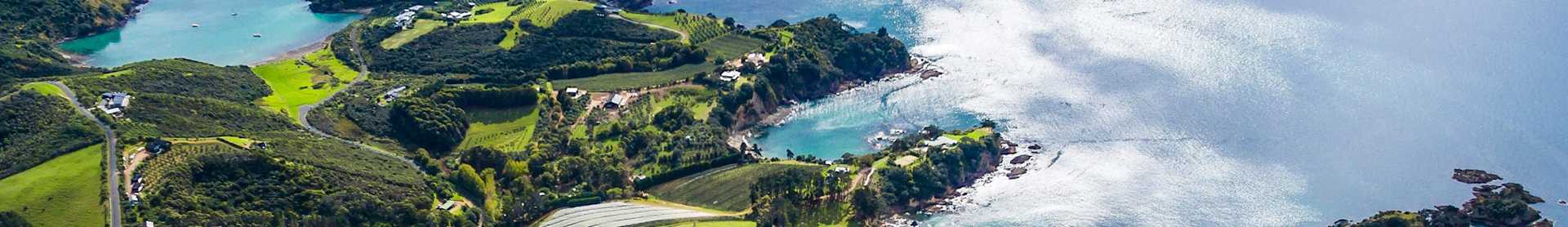 Image for New Zealand Wine content section
