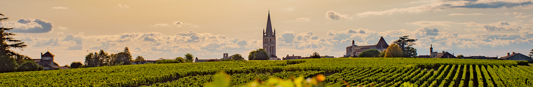 List Page Learn About Content Graphic